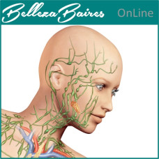 Curso Online de Drenaje Linfático Facial y Reflexología Combinada